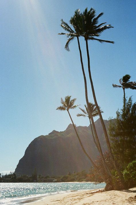 photo of beach in Hawaii Beach Fits, Hawaii Beaches, Beach Paradise, Island Girl, Film Camera, Beach Photography, Fitness Inspo, Film Photography, Behind The Scenes