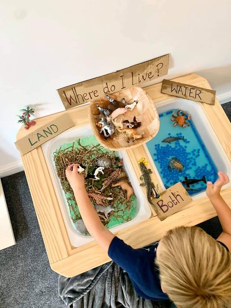 Sensory Bin Ideas For 20 Month Old, Habitat Sensory Bins, Dragon Sensory Bin, Sensory Stations, Sensory Table Ideas, Sensory Bin Ideas, Toddler Sensory Bins, Wacky Hair Day, Eyfs Activities