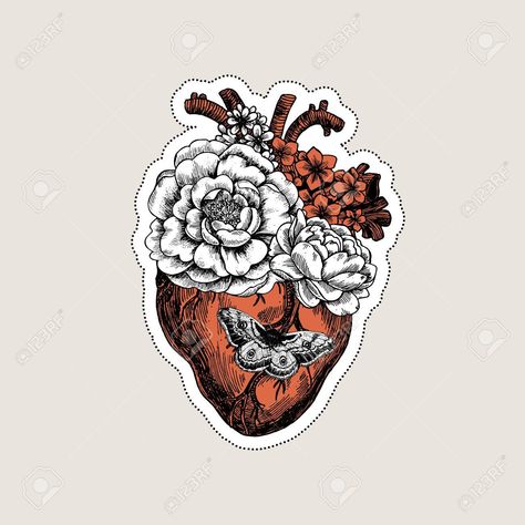 Floral Anatomical Heart, Anatomical Heart Drawing, Anatomy Vintage, Heart Vector Illustration, Tattoos Mandala, Heart Vector, Snapchat Stickers, Heart Illustration, Scrapbook Stickers Printable