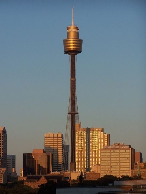 Sydney Tower (also known as the Sydney Tower Eye, AMP Tower, Westfield Centrepoint Tower, Centrepoint Tower or just Centrepoint) is Sydney's tallest free-standing structure, and the second tallest in Australia Sydney Tower, برج العرب, Australian Continent, Sydney Hotel, Sydney City, Island Home, Canberra, Commonwealth, Australia Travel