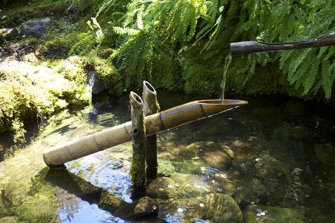 Asian Style Garden, Shishi Odoshi, Bamboo Water Fountain, Japanese Garden Decor, Bamboo Fountain, Zen Garden Design, Japanese Water, Vintage Gardening, Japanese Garden Design