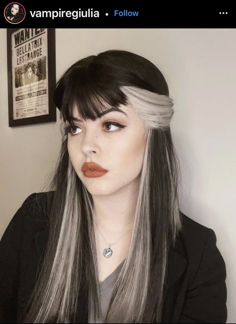 Streak In Hair, White Streak In Hair, Narcissa Black, Silver Wig, Color Block Hair, Black White Hair, Skunk Hair, Split Dyed Hair, Goth Hair