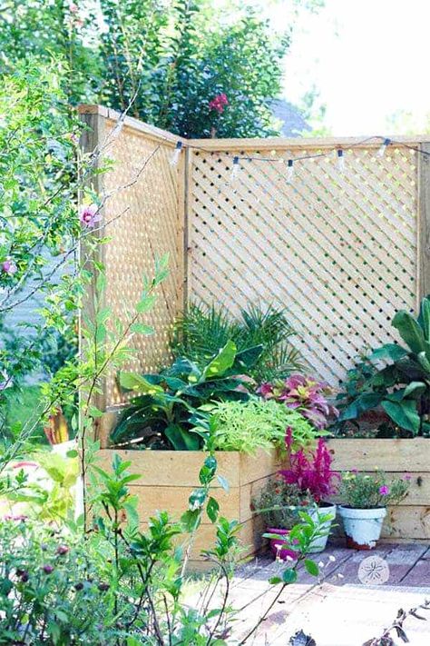 Diy Privacy Fence, Diy Privacy Screen, Decorative Garden Fencing, Privacy Fence Designs, Cheap Fence, Garden Privacy, Backyard Privacy, Diy Fence, Garden Screening