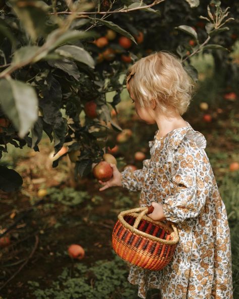 jade dalton-thompson (@jadedt_) • Instagram photos and videos Apple Orchard Photoshoot Family, Apple Orchard Photography, Apple Orchard Pictures, Apple Picking Photos, Apple Tree Farm, Fall 1st Birthdays, Apple Picture, Harvest Farm, Apple Farm