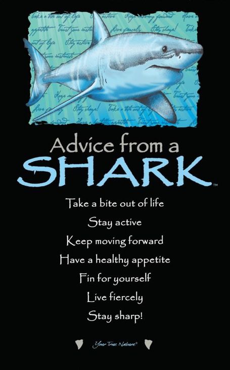 Shark Quotes, Spirit Animal Meaning, Animal Meanings, Animal Spirit Guides, Celebrate Life, Shark Week, Advice Quotes, Keep Moving Forward, Art Cards