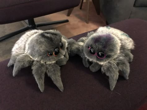 Jumping Spider Plush, Cute Spider Plush, Spider Plush Pattern, Spider Plush, Creepy Stuffed Animals, Jumping Spiders, Pet Spider, Jumping Spider, Plushie Patterns