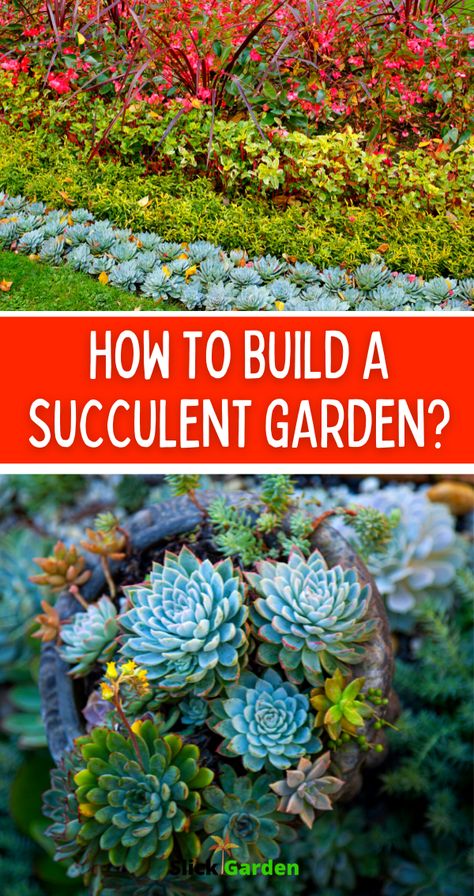 How To Build A Succulent Garden? A succulent garden is an effortless garden that you can build easily. Succulents add beauty to your backyard. The texture and colors of these water-storing plants change the view of your landscape. You can use succulents as a ground cover in your backyard garden. Succulent Garden Bed Ideas, Succulent And Flower Garden, Succulent Raised Garden Bed, Chicks And Hens Succulents Landscapes, Succulent Landscape Design Backyards, Planting Succulents Outdoors In Ground, Succulent Garden Design Outdoors, Succulent Garden Bed, Succulent Rock Garden Landscaping