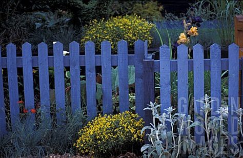 Blue Picket Fence, Blue Fence, Easter House, Garden World, Picket Fences, Dream Beach Houses, Farm Fence, Blue Garden, World Images