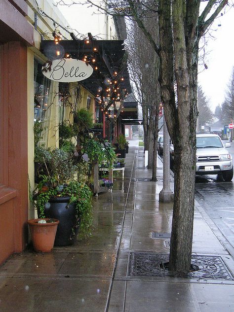 My Hometown and Nearby Cities- A street in downtown Kent with lots of unique stores. Pnw Small Town Aesthetic, Pnw Small Town, Unique Stores, Seattle Living, Kent Washington, University Village Seattle, Super Fruits, Small Town America Main Street, Washington Trip