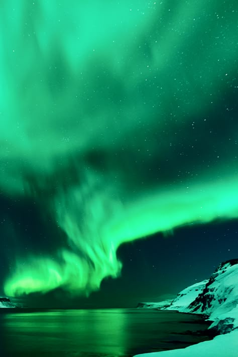 Spectacular green aurora fill the night sky in Scandinavia, amazing northern lights photos Green Sky Wallpaper, Sky Quotes Clouds, Northern Lights Tattoo, Real Northern Lights, Green Lighting, Greenland Northern Lights, Photographing Northern Lights, Northern Lights Photo, Sky Tattoos