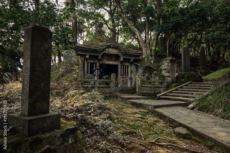 Abandoned Shrine, Abandoned Temple, Japan Temple, Tree Trunk, Temple, Japan, Google Search, Plants