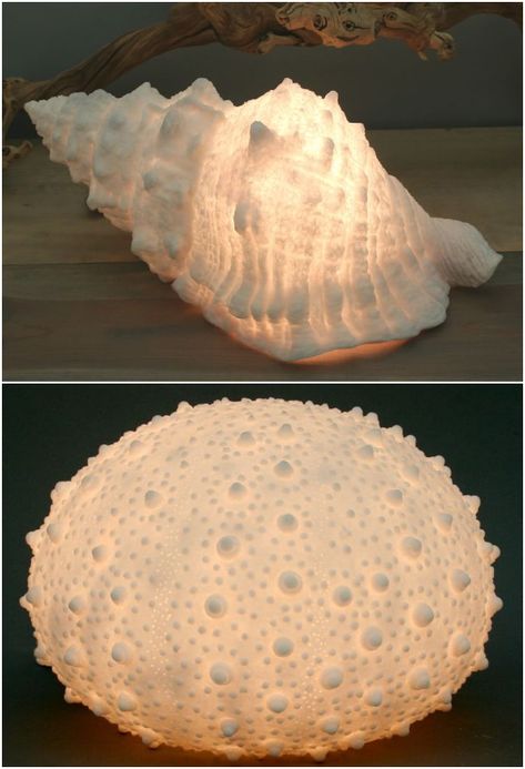 Seashell Interior Design, Seashell Nursery Decor, Shell Diy Crafts, Sea Shell Ideas, Seashell Lamps, Beach Shell Crafts, Diy Coral Reef, Seashell Light, Seashells Aesthetic