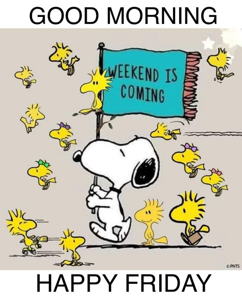 Peanuts Friday, Snoopy Happy Friday, Happy Friday Snoopy, Happy Friday Funny Humor, Snoopy Clip Art, Snoopy Friday, Happy Friday Gif, Cute Good Morning Pictures, Happy Friday Pictures