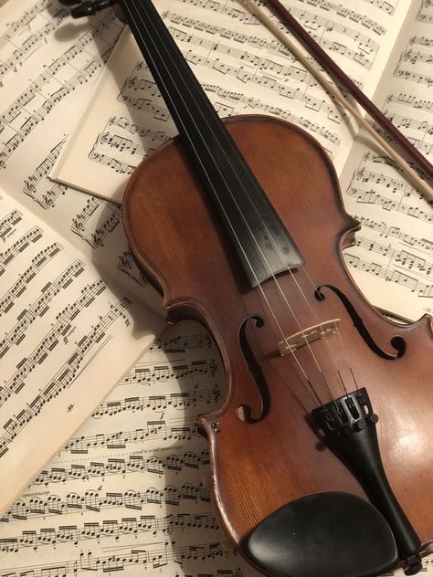 Violin Aesthetic, Music Aesthetic, Academia Aesthetic, Violinist, Ancient Ruins, String Instruments, Classical Music, Book Aesthetic, Music Art