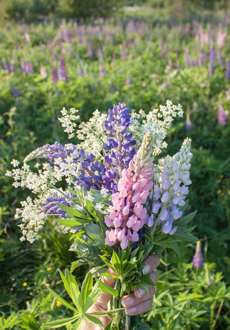 Field Flowers Bouquet, Purple Wedding Decorations, Geraniums Red, Wildflower Wedding Bouquet, Lupine Flowers, Bridal Bouquet Spring, Flower Boquet, Pink Geranium, Flower Cottage