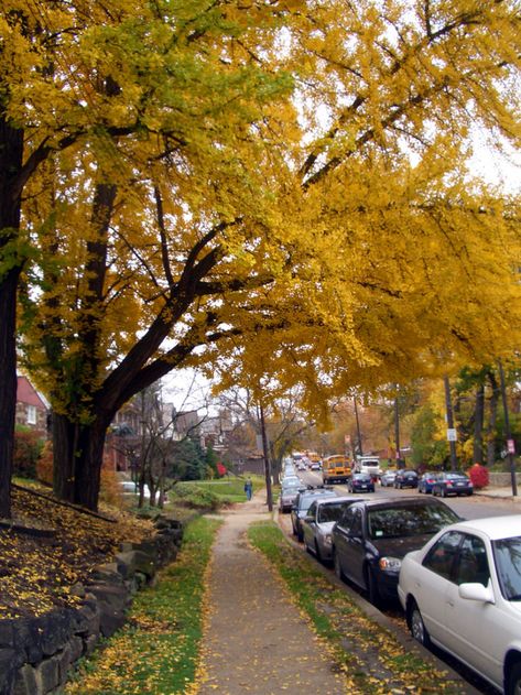 10 Pittsburgh Apartments, Blue Slide Park, College Mood Board, Pittsburgh Neighborhoods, Beautiful Neighborhoods, Lizzy Mcalpine, Dream Boards, Pittsburgh Skyline, Pittsburgh City