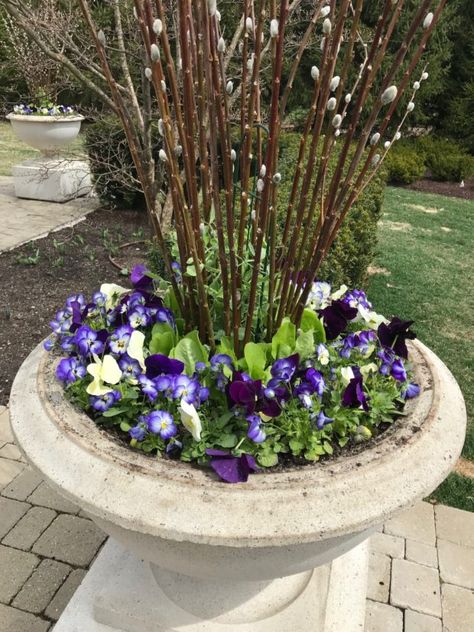 Planter Arrangements, Deborah Silver, Spring Planter, Container Planting, Faux Grass, Spring Outdoor, Spring Mix, Anemone Flower, Pansies Flowers