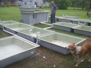 Aquaponics Kit, Aquaponic Gardening, Aquaponics System, Fish Farming, On The Ground, Hydroponics, Work Out, To Work, Bed