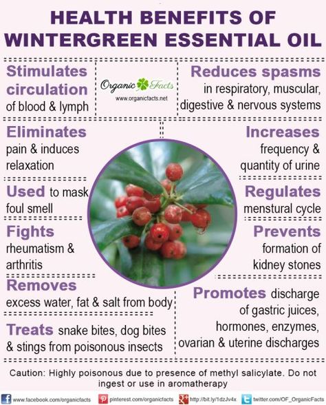 Health benefits of wintergreen essential oil can be attributed to its properties as an analgesic, anodyne, antirheumatic, antiarthritic, antispasmodic, antiseptic, aromatic, astringent, carminative, diuretic, emenagogue and stimulating substance Wintergreen Essential Oil, Calendula Benefits, Fruit Health Benefits, Essential Oils For Pain, Doterra Business, Matcha Benefits, Lemon Benefits, Coconut Health Benefits, Aroma Therapy