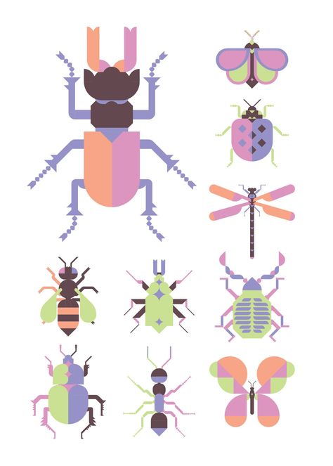 Insect Illustrations :: Behance Bugs Illustration, Insects Illustration, Insects Design, Bug Illustration, Beetle Illustration, Insect Illustration, Prop Design, Illustrator Tutorials, Flat Illustration