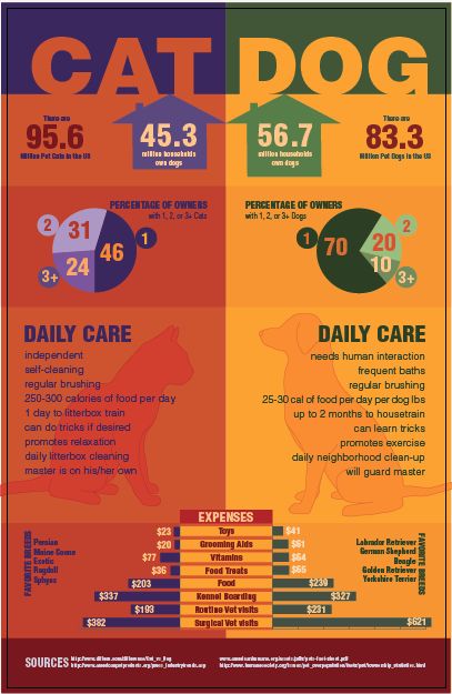 Project 3: Infographic: Cat vs Dog final. I unified the coloring by keeping the purples on the cat side and the greens on the dog side. I also adjusted the font size and cap sizes. Cat Side, Cat Infographic, Infographic Ideas, Dog Infographic, Infographic Inspiration, Cat Vs Dog, Infographic Design Layout, Info Design, Dog Facts