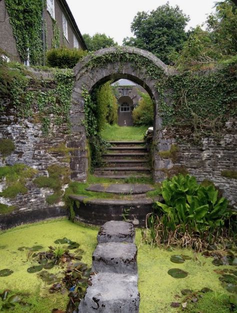 Tudor Architecture, West Wales, House And Garden, English Cottage Garden, Stones Throw, Water Features In The Garden, Valley View, Garden Gate, Interior Modern