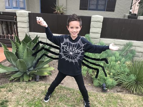 Kids spider costume DIY Charlotte’s Web 🕷 Charlotte’s Web Costume Diy, Charlotte’s Web Costume, Charlottes Web Halloween Costumes, Charlottes Web Costume Diy, Charlottes Web Costume Ideas, Spider Costume Diy, Kids Spider Costume, Spider Fancy Dress, Charlotte Web Costume