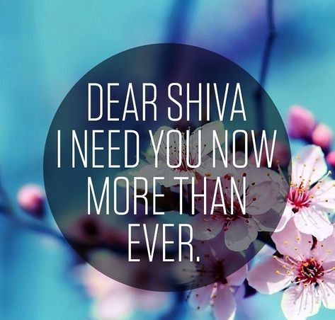 Lord Shiva, my Babaji thank you for being there always to support and love me unconditionally 😍  🙏 #omnamashivaya #mysupportsystem I Need You Now, Dear Me, Lord Shiva, I Need You, Love Me, Shiva, Thank You