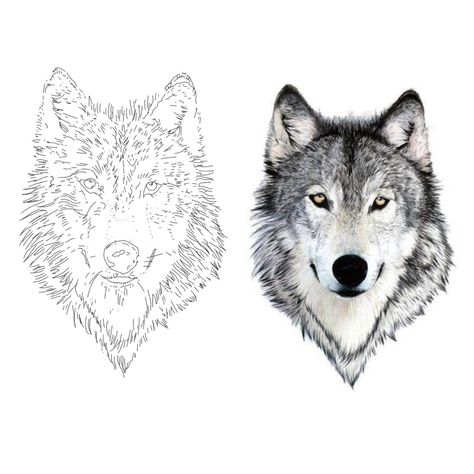 Realistic Wolf Tattoo Stencil, Tattoo Shablon, Wolf Head Tattoo Stencil, Wolf Tattoo Stencil Design, 3 Wolf Tattoo, Wolf Tattoo Design Men, Wolf Face Tattoo Design, Wolf Head Outline, Wolf Head Tattoo Design