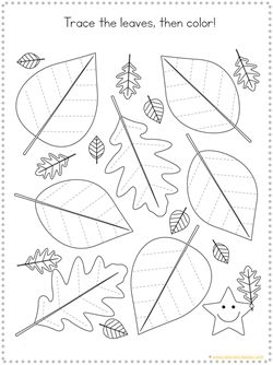 Tracing Fun for FALL - 1+1+1=1 Leaf Tracing Preschool, Lines Worksheet, September Preschool, Emotions Preschool, Holiday Art Projects, Autumn Leaves Craft, Preschool Crafts Fall, Fall Preschool Activities, Kindergarten Themes