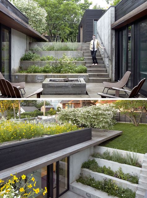 A Lush Green Roof Covers This Home In Missouri Grass Bushes, Loft Interiors, Roof Covering, Landscape Architecture Design, Modern Villa, Tall Trees, Albufeira, Modern Patio, Rooftop Garden