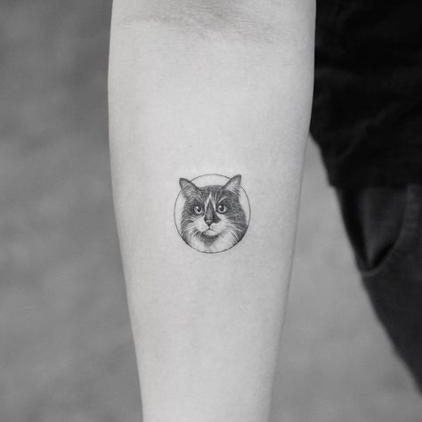 Cat Face Tattoos, Cat Portrait Tattoos, Pet Memorial Tattoo, Kitten Tattoo, Tier Tattoo, Cute Cat Tattoo, K Tattoo, Muster Tattoos, Cat Tattoo Designs