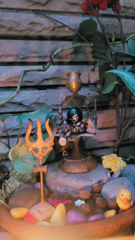 Shiv Ji Aesthetic Photo, Mahadev Snap, Shiv Ji Aesthetic, Shiv Kali, Pooja Aesthetic, Miniature Garden Diy, Textile Pattern Design Fashion, Mahadev Ji, Ganesh Chaturthi Images