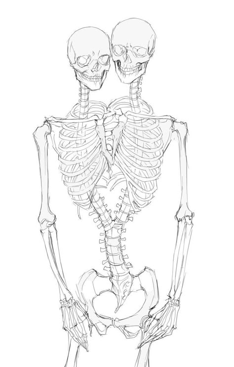 Art Bizarre, Skeleton Heart, Skeleton Drawings, Human Anatomy Art, Skeleton Art, 캐릭터 드로잉, Art Tattoos, Creepy Art, Anatomy Art