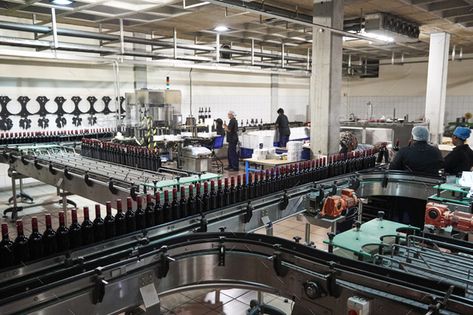 Colleagues working in the bottling plant at a wine factory by monkeybusiness. Colleagues working in the bottling plant at a wine factory #AD #bottling, #working, #Colleagues, #plant Wine Factory, Diy Design, Business Card Design, Card Design, Mood Board, Wine, Plants, Design