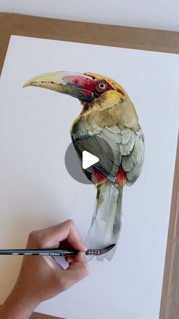 Polina Bright on Instagram: "Saffron toucanet ✨ #watercolorpainting #painting #watercolor #art #artist #aquarelle" Watercolor Painting Videos, Watercolor Art Birds, Bird Painting Tutorial, Water Colour Painting Watercolour, Watercolor Birds Paintings, Watercolor Animal Paintings, Watercolor Birds Tutorial, Polina Bright, Bird Watercolor Art