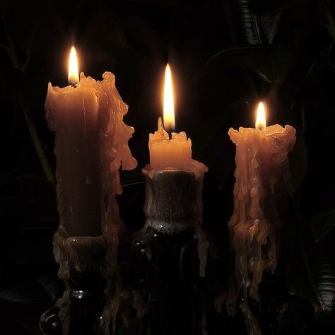 Grafika Vintage, Dark Acadamia, Yennefer Of Vengerberg, Candle Aesthetic, Arte Obscura, Witch Aesthetic, Dark Academia Aesthetic, Fantasy Aesthetic, Academia Aesthetic