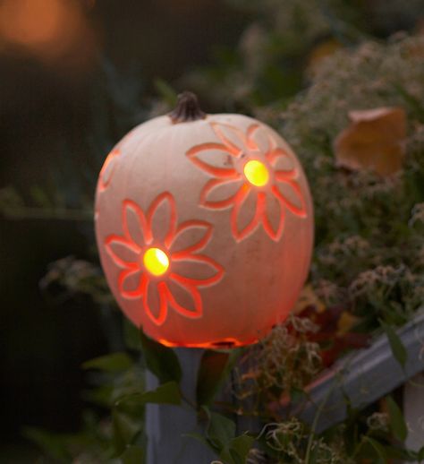 Pumpkin Carving Alternatives, Unique Pumpkin Decorating, Pumkin Decoration, Pumpkin Decorating Ideas, Cute Pumpkin Carving, Pumkin Carving, No Carve Pumpkin Decorating, Glowing Flowers, Polka Dot Pumpkin