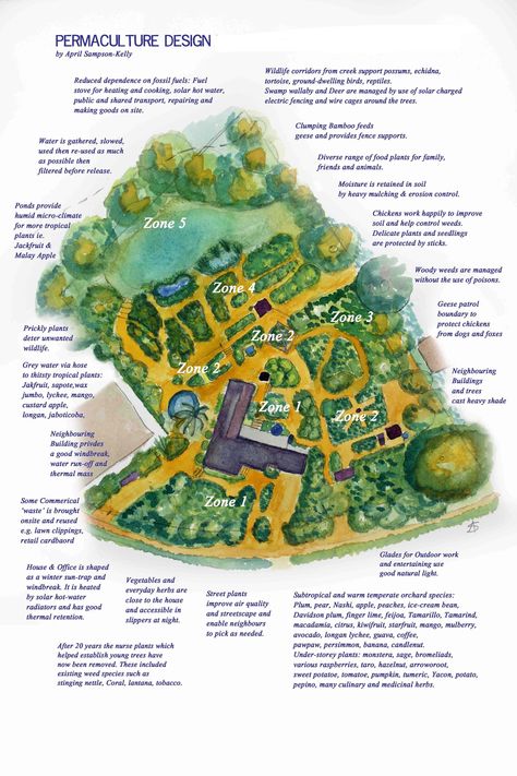 Food Forest Garden, Farm Layout, Permaculture Gardening, Permaculture Design, Aquaponics System, Food Forest, Farm Design, Forest Garden, Organic Gardening Tips