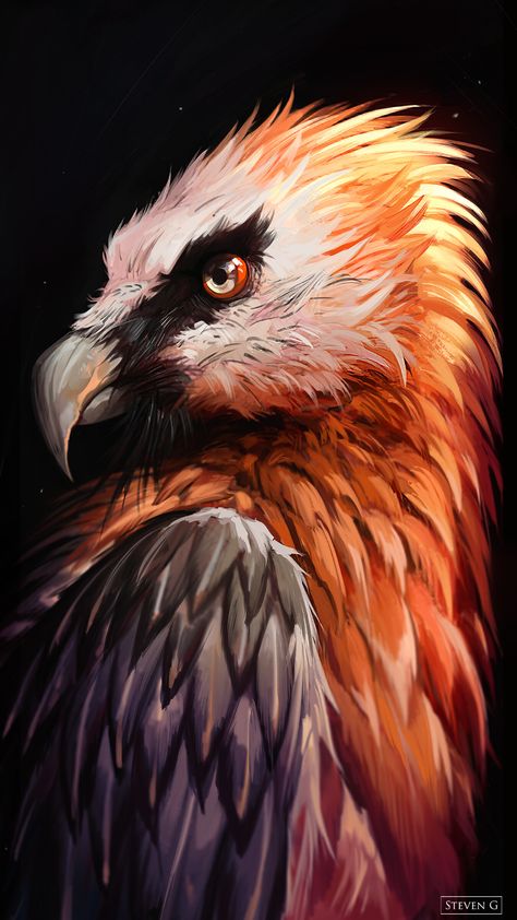 Bearded Vulture, Loki Art, Work Art, Creature Drawings, Cute Doodle Art, Creature Concept, Art Reference Photos, Bird Art, Fantasy Creatures