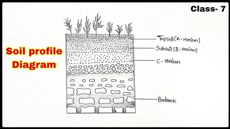 How to Draw soil profile easily. Soil Profile Drawing, Soil Profile, Science Drawing, Profile Drawing, Long Exposure, The Process, The Rock, Soil, To Draw