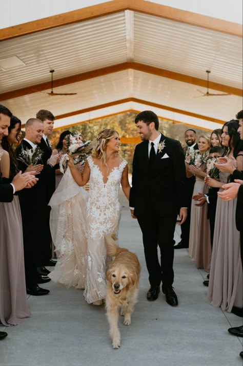 Dog As Best Man In Wedding, Wedding Dog Photography, Dog In Wedding Ceremony, Bride And Groom With Dog, Bride And Dog Wedding Photos, Wedding Photo Ideas With Dogs, Wedding Pictures With Dogs, Wedding Photos With Dogs, Golden Retriever Ring Bearer