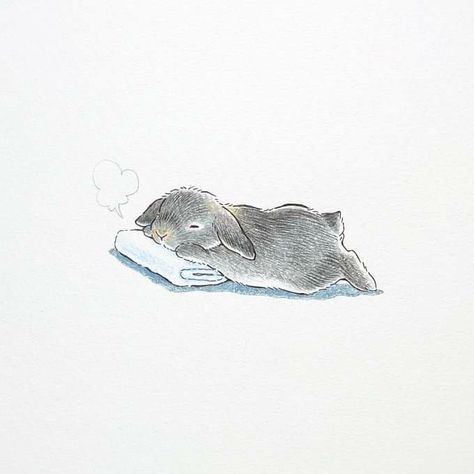 Bunny Artwork, Bunny Mobile, Sleeping Bunny, Bunny Watercolor, Bunny Care, Rabbit Tattoos, Bunny Drawing, Cute Sketches