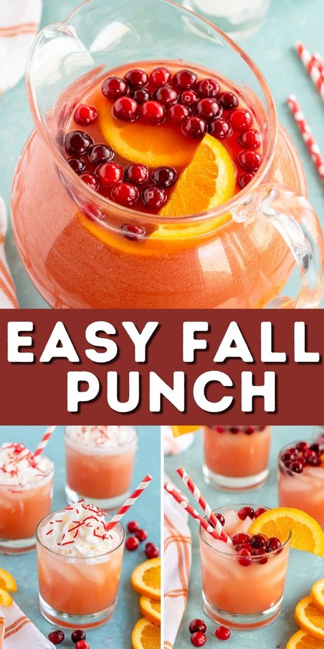 Harvest Punch Non Alcoholic, Punch Thanksgiving, Thanksgiving Drinks Non Alcoholic, Harvest Punch, Fall Punch Recipes, Fall Punch, Best Disneyland Food, Autumn Favorites, Thanksgiving Punch