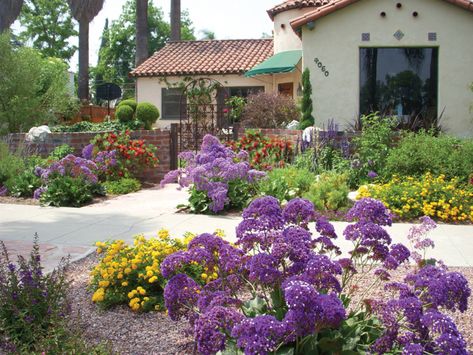 See examples and guidelines for drought tolerant landscaping. Drought Resistant Front Yard, Native Front Yard, Drought Tolerant Landscape Front Yard, Xeriscape Front Yard, Drought Resistant Landscaping, Landscape Front Yard, California Plants, Yard Garden Design, Drought Tolerant Garden