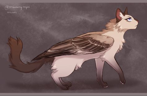 Mythical Creatures Cute, Animals With Wings, Winged Cat Drawing, Cat With Wings Drawing, Cat Wings, Feather Tail Warrior Cats, Cats With Wings Drawing, Cats With Wings, Winged Cat Art