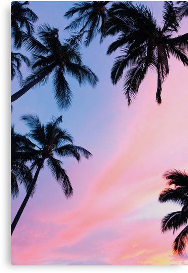 Beautiful pink sunset palm trees artwork design. • Millions of unique designs by independent artists. Find your thing. Palm Tree Artwork, Sunset Iphone Wallpaper, Palm Tree Pictures, Infinity Wallpaper, Pastel Iphone Wallpaper, Palm Trees Wallpaper, Wallpaper Iphone Summer, Website Design Layout, Preppy Wallpaper