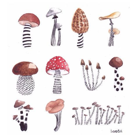 • mushrooms • Mushroom Drawing, Watercolour Inspiration, Mushroom Art, Watercolor Inspiration, Illustration Inspiration, Botanical Illustration, 그림 그리기, Watercolor Illustration, Painting Inspiration