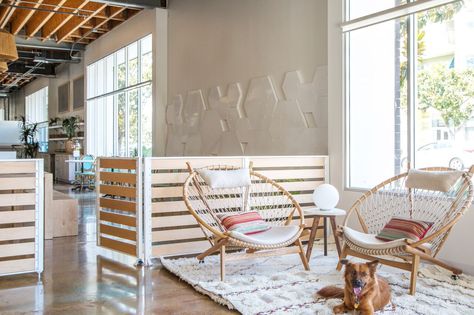 Spotted: The Incredible Dog-Friendly Office of DogVacay Pet Cafe, Startup Office, Dog Cafe, Grooming Salon, Dog Wash, Creative Workspace, Retail Design Blog, Cafe Interior Design, Design Del Prodotto