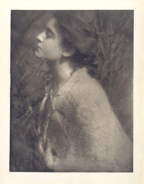 Lilac Buds: Mrs S. | Steichen, Edward J. | V&A Explore The Collections Charles Angrand, Austin Osman Spare, Horse Chestnut Trees, André Derain, August Sander, Alfred Stevens, Edward Steichen, Camille Claudel, Albert Bierstadt